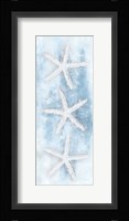 Starfish Panel Fine Art Print