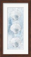 Sea Shells Fine Art Print