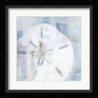 Sand Dollar II Framed Print