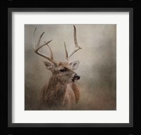 Winter Messenger Fine Art Print