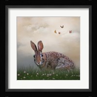 Spring Softie Fine Art Print
