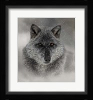 Winter Wolf Fine Art Print