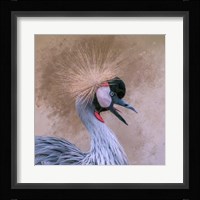 Crowned Fine Art Print