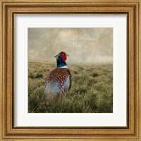 Have a Very Pheasant Day Fine Art Print