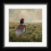 Have a Very Pheasant Day Fine Art Print