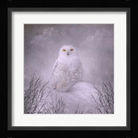 Winter Wonderland Fine Art Print