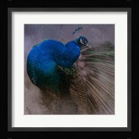 Natural Beauty Fine Art Print