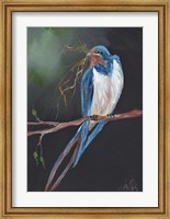 Swallow Fine Art Print