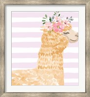 Llama II Fine Art Print