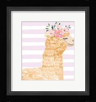 Llama II Framed Print