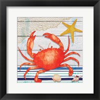 Crab Fine Art Print
