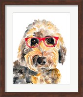 Goldendoodle in Glasses Fine Art Print