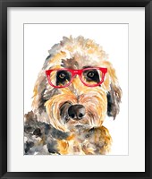 Goldendoodle in Glasses Fine Art Print