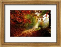 Autumn Forest Edge Fine Art Print