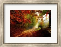 Autumn Forest Edge Fine Art Print