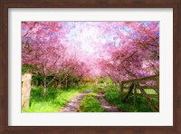 Cherry Blossom Lane Fine Art Print