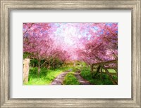 Cherry Blossom Lane Fine Art Print