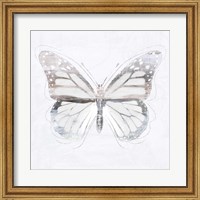 Silver Butterfly II Fine Art Print