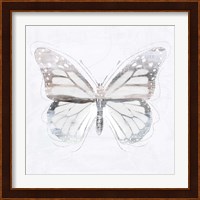 Silver Butterfly II Fine Art Print