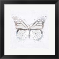 Silver Butterfly II Framed Print