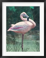Peach Flamingo Fine Art Print