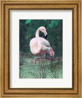 Peach Flamingo II Fine Art Print