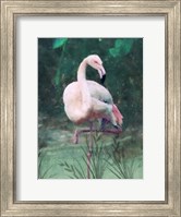 Peach Flamingo II Fine Art Print