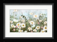 Field of Daisies Fine Art Print