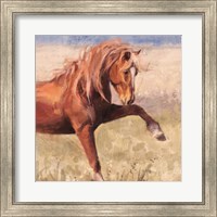 The Red Stallion Fine Art Print