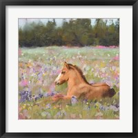 Spring Time Foal Fine Art Print