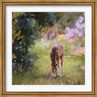 Spring Time Foal II Fine Art Print