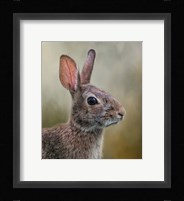 All Ears Fine Art Print