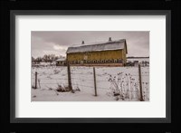 Old Yeller Fine Art Print