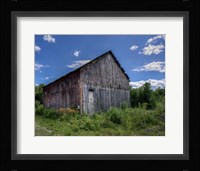 Country Lilies Fine Art Print