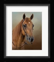 Golden Splendor Fine Art Print