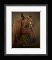 Ready to Compete Fine Art Print