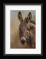 Humble Fine Art Print