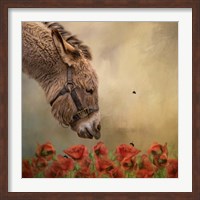 Stop and Smell the Flowers Fine Art Print