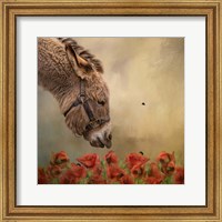 Stop and Smell the Flowers Fine Art Print