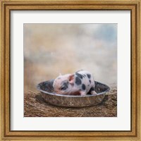 This Little Piggy Fine Art Print