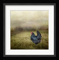 Early Morning Riser Fine Art Print
