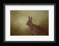 Awakening Fine Art Print