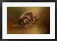 Otter Curiosity Fine Art Print