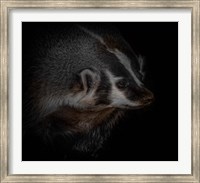 Sir Badger Fine Art Print