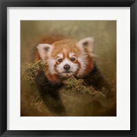 Hanging Out Fine Art Print