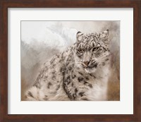 Always Searching Fine Art Print