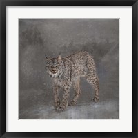 Ghost Cat Fine Art Print
