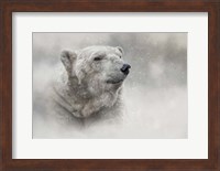 Prince of the North Pole Fine Art Print