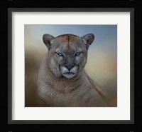 Not Amused Fine Art Print