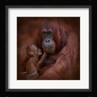 A Mother's Love Fine Art Print